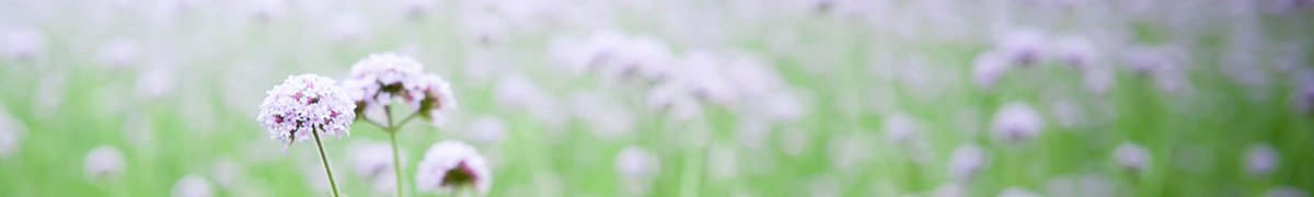 dou体育官网安全访问得到全国